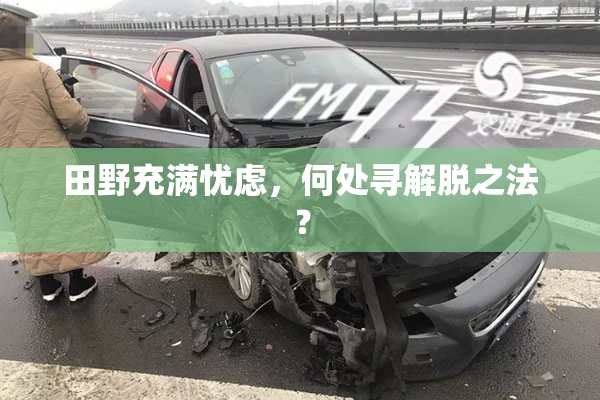 田野充满忧虑，何处寻解脱之法？