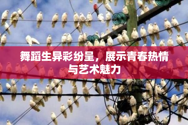 舞蹈生异彩纷呈，展示青春热情与艺术魅力