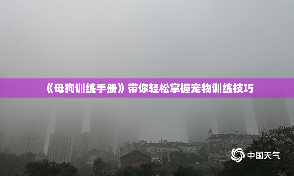 《母狗训练手册》带你轻松掌握宠物训练技巧
