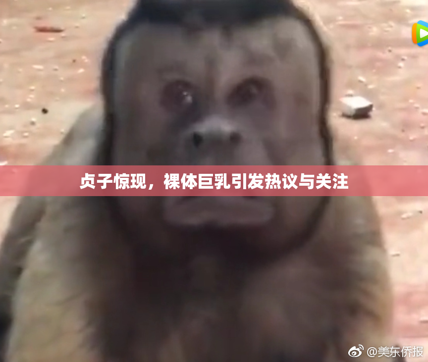 贞子惊现，裸体巨乳引发热议与关注
