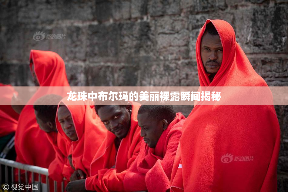 龙珠中布尔玛的美丽裸露瞬间揭秘