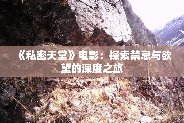 《私密天堂》电影：探索禁忌与欲望的深度之旅