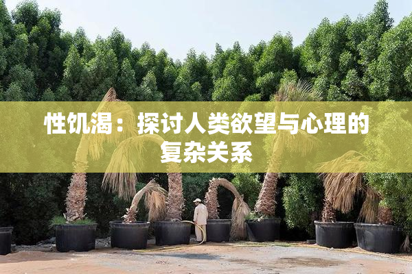 性饥渴：探讨人类欲望与心理的复杂关系