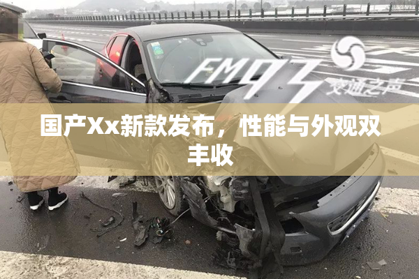 国产Xx新款发布，性能与外观双丰收