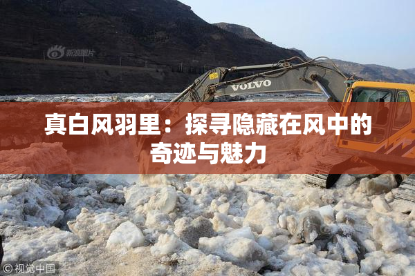 真白风羽里：探寻隐藏在风中的奇迹与魅力