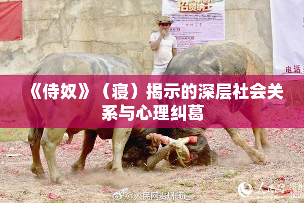 《侍奴》（寝）揭示的深层社会关系与心理纠葛
