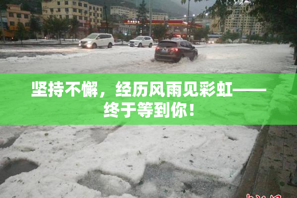 坚持不懈，经历风雨见彩虹——终于等到你！