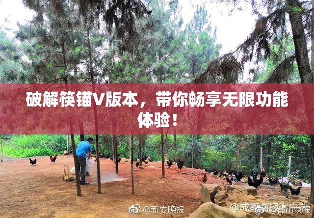 破解筷锚V版本，带你畅享无限功能体验！