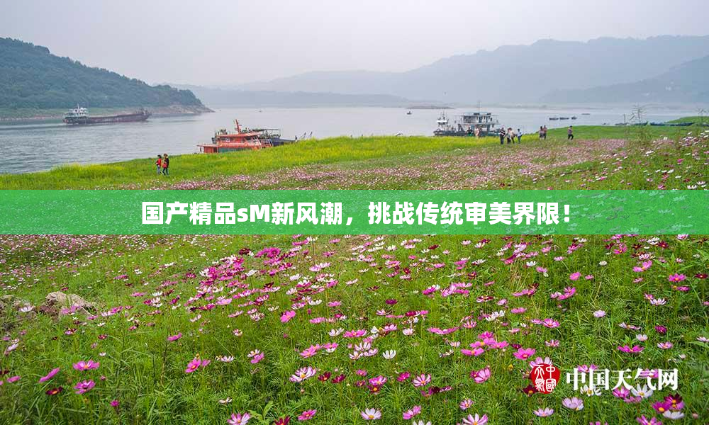 国产精品sM新风潮，挑战传统审美界限！