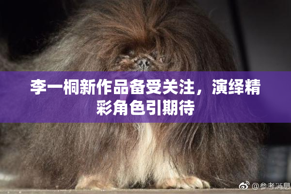 李一桐新作品备受关注，演绎精彩角色引期待