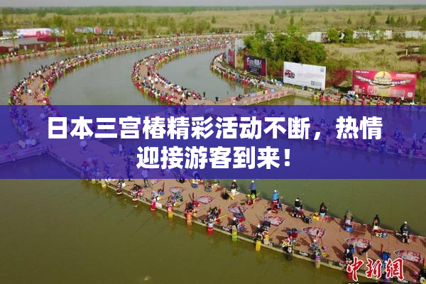 日本三宫椿精彩活动不断，热情迎接游客到来！