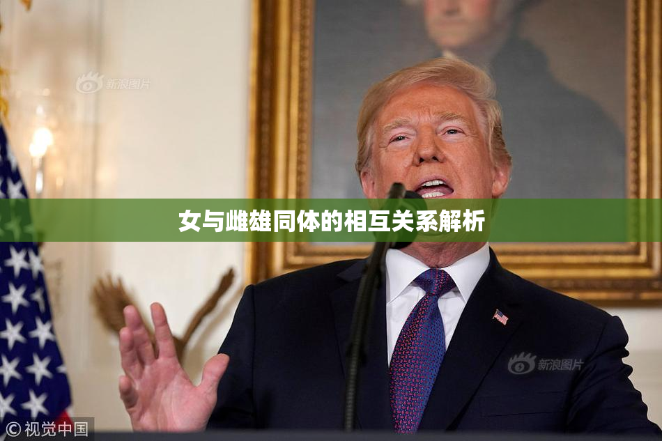 女与雌雄同体的相互关系解析