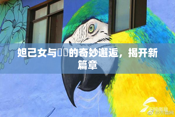 妲己女与❌‌的奇妙邂逅，揭开新篇章
