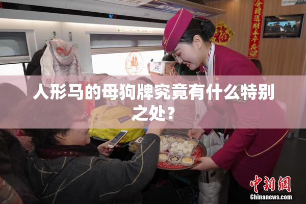 人形马的母狗牌究竟有什么特别之处？