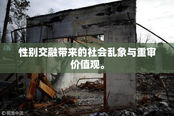 性别交融带来的社会乱象与重审价值观。