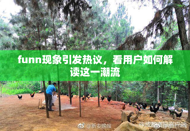 funn现象引发热议，看用户如何解读这一潮流