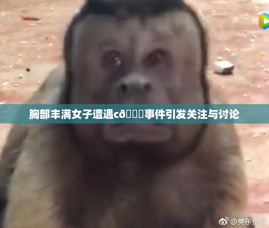 胸部丰满女子遭遇c🔞事件引发关注与讨论