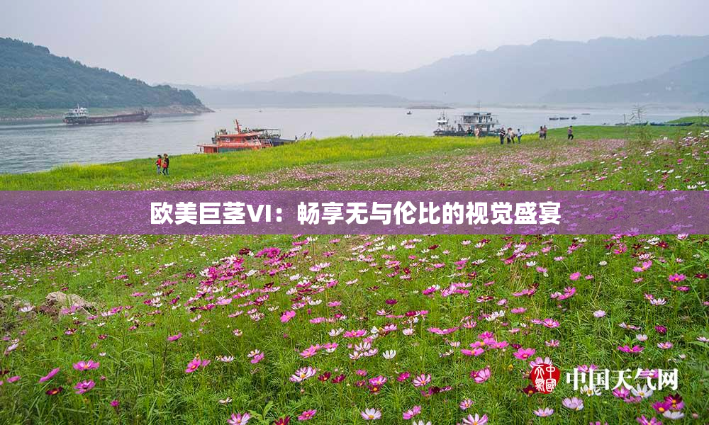 欧美巨茎VI：畅享无与伦比的视觉盛宴