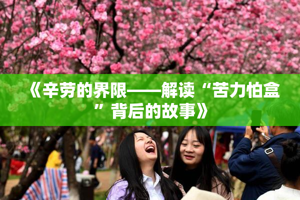 《辛劳的界限——解读“苦力怕盒”背后的故事》