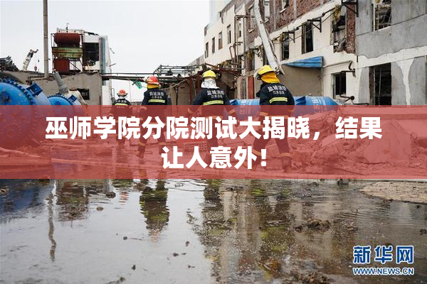 巫师学院分院测试大揭晓，结果让人意外！