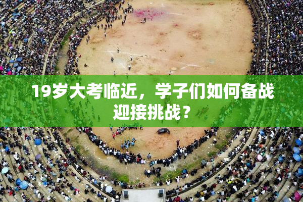 19岁大考临近，学子们如何备战迎接挑战？