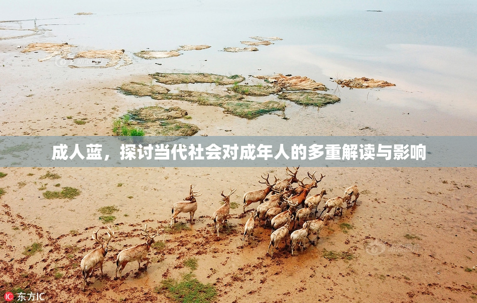成人蓝，探讨当代社会对成年人的多重解读与影响