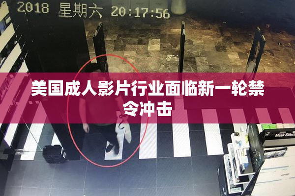 美国成人影片行业面临新一轮禁令冲击