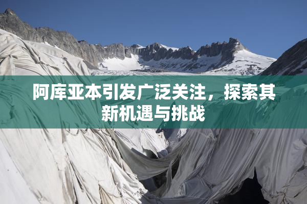阿库亚本引发广泛关注，探索其新机遇与挑战