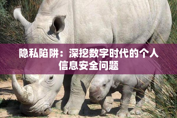 隐私陷阱：深挖数字时代的个人信息安全问题