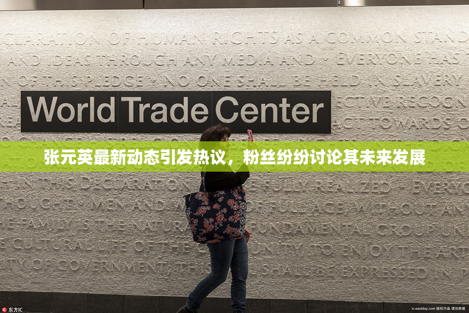 张元英最新动态引发热议，粉丝纷纷讨论其未来发展