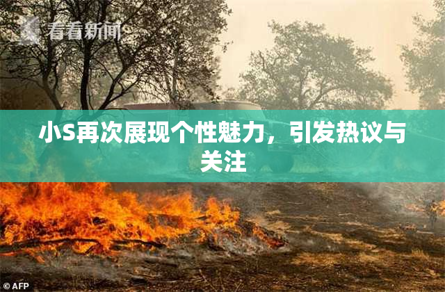 小S再次展现个性魅力，引发热议与关注