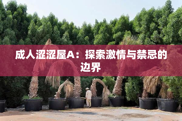 成人涩涩屋A：探索激情与禁忌的边界