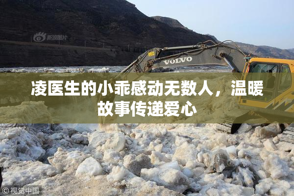 凌医生的小乖感动无数人，温暖故事传递爱心