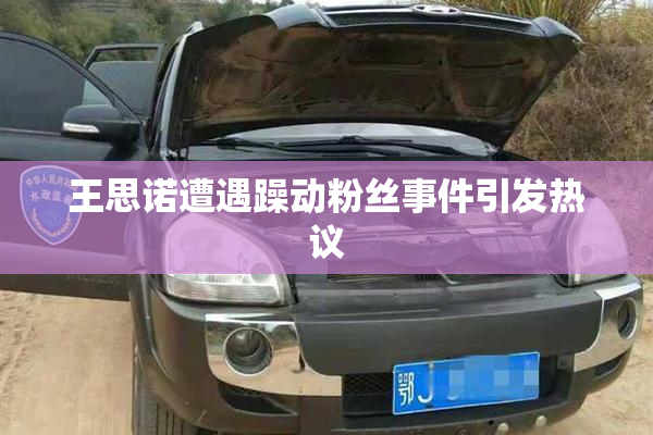 王思诺遭遇躁动粉丝事件引发热议