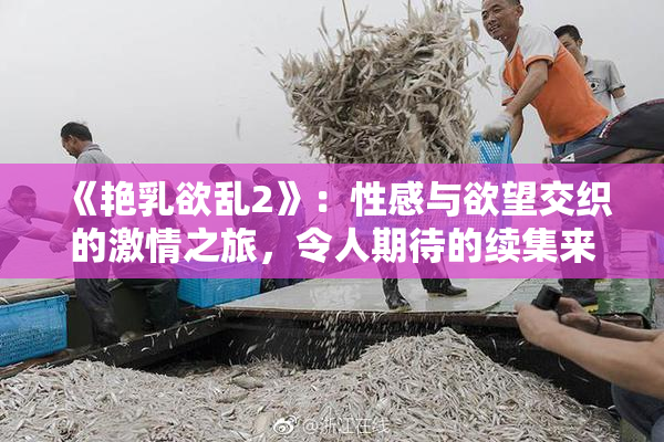 《艳乳欲乱2》：性感与欲望交织的激情之旅，令人期待的续集来袭！