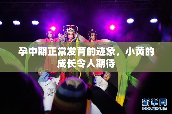 孕中期正常发育的迹象，小黄的成长令人期待