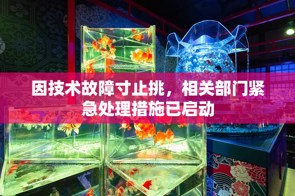 因技术故障寸止挑，相关部门紧急处理措施已启动
