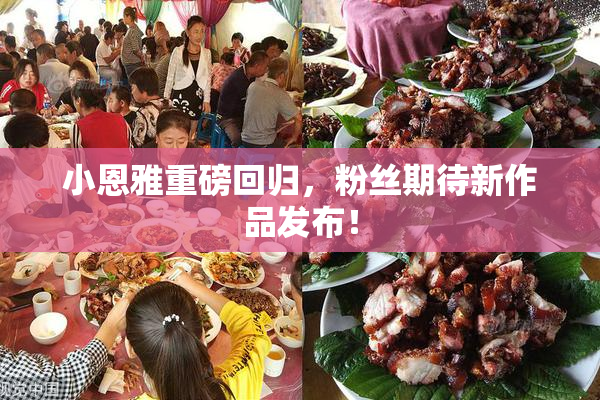 小恩雅重磅回归，粉丝期待新作品发布！