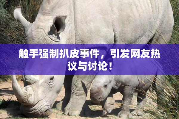 触手强制扒皮事件，引发网友热议与讨论！