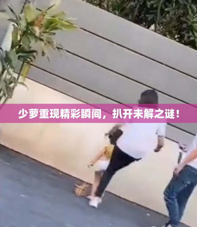 少萝重现精彩瞬间，扒开未解之谜！