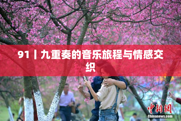 91丨九重奏的音乐旅程与情感交织