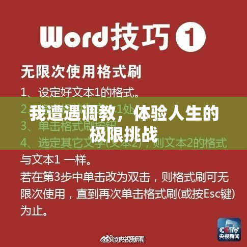 我遭遇调教，体验人生的极限挑战