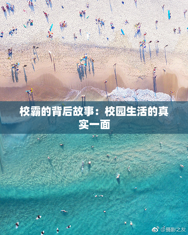 校霸的背后故事：校园生活的真实一面