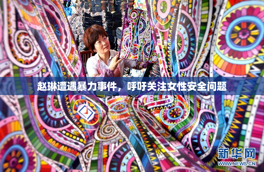 赵琳遭遇暴力事件，呼吁关注女性安全问题