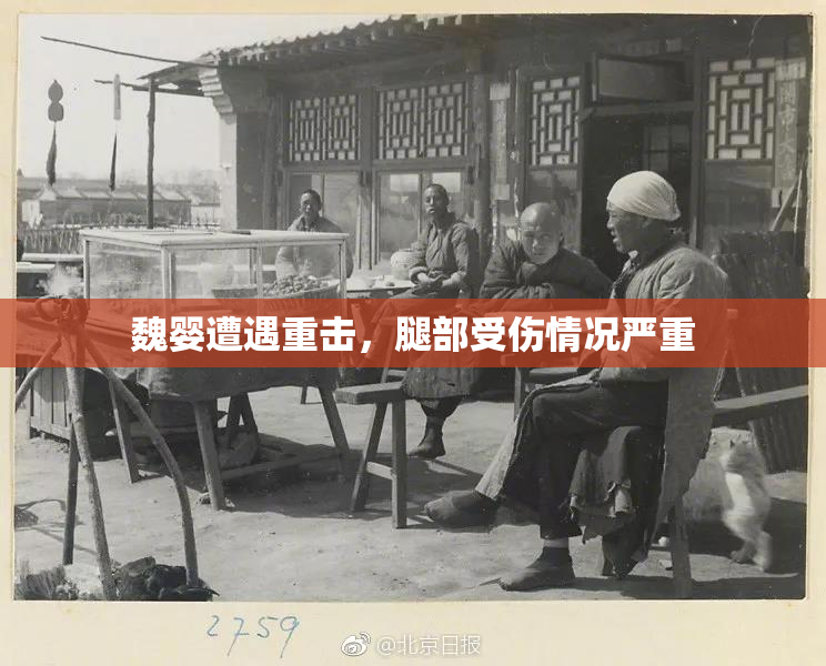 魏婴遭遇重击，腿部受伤情况严重