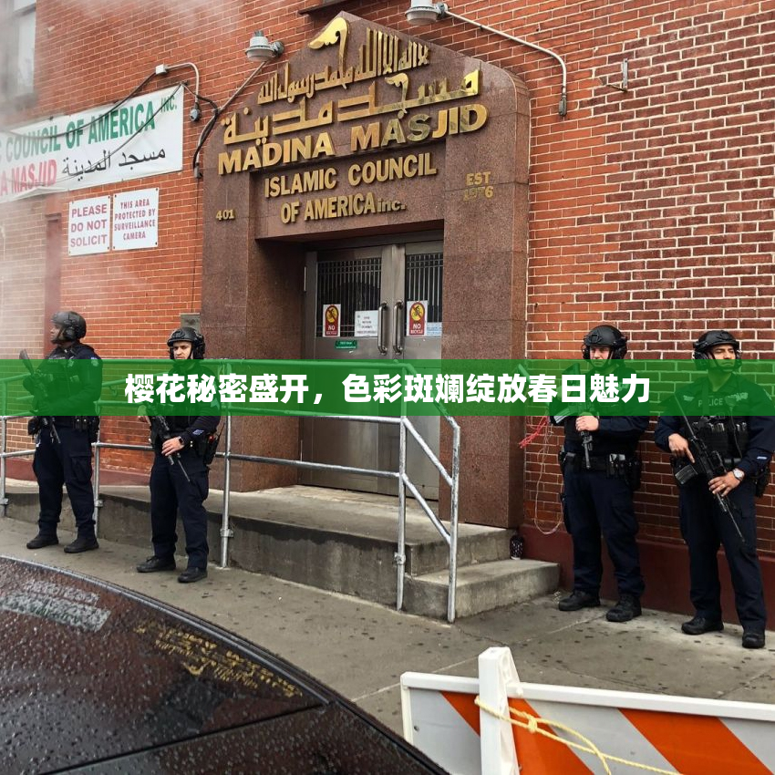 樱花秘密盛开，色彩斑斓绽放春日魅力