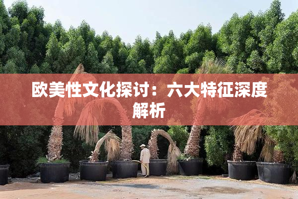 欧美性文化探讨：六大特征深度解析