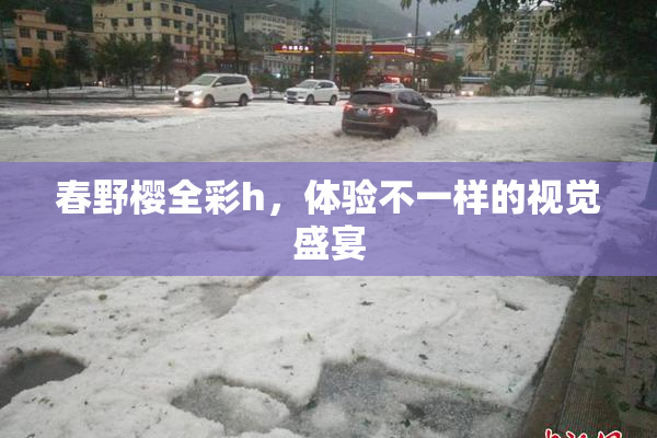 春野樱全彩h，体验不一样的视觉盛宴