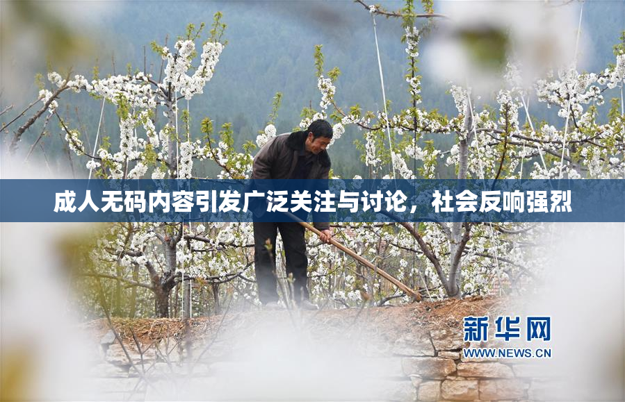成人无码内容引发广泛关注与讨论，社会反响强烈