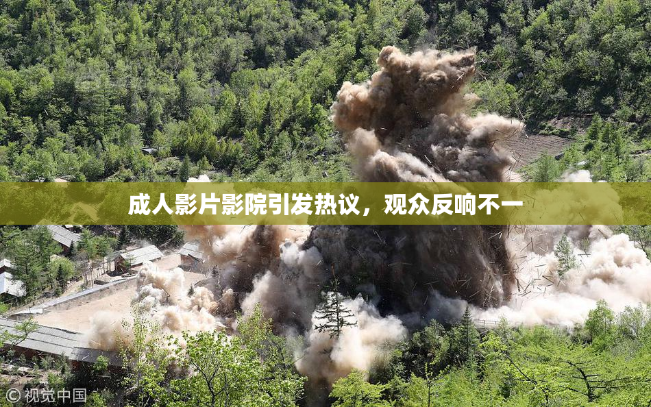 成人影片影院引发热议，观众反响不一